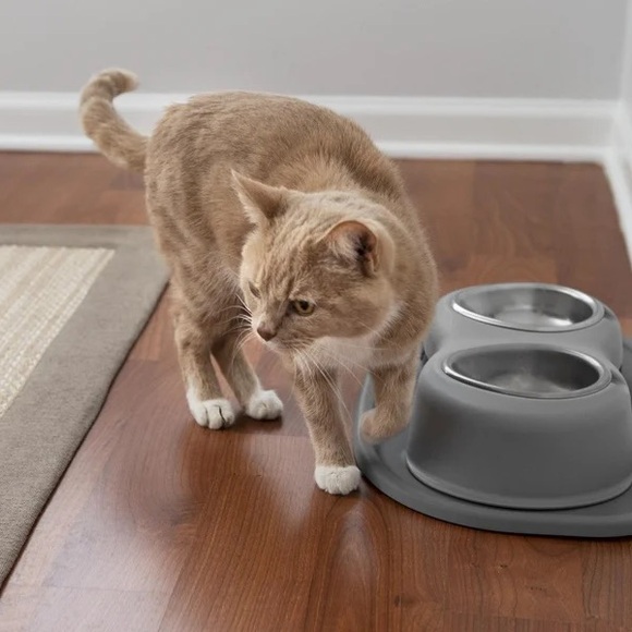 🥣 WeatherTech Double High Pet Feeding System - Picture 3 of 7